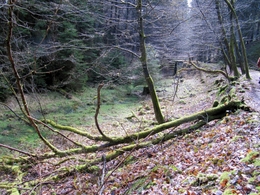 Mühlbrunnenklause