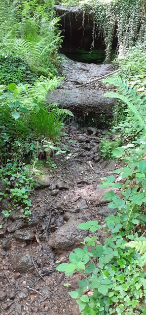 grün2