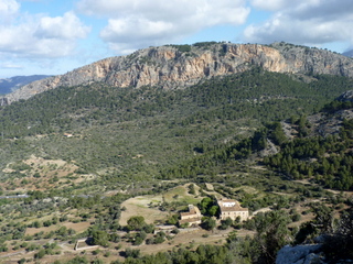 Garrafa