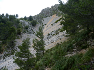 Rosseguera