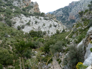 Torrent