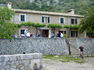 TossalsVerds