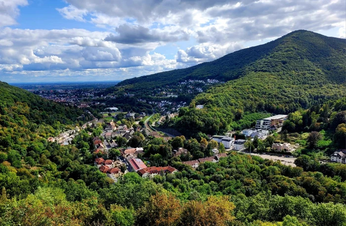 WolfsblickStadt